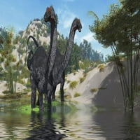 Dva apatosaurus dinosaur Wade kroz bujni ribnjak koji traže biljke za jelo ispisa plakata