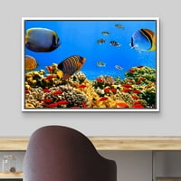 Uokvirena platna Print Wall Art Tropical Island Podvodna riba Crvena anemona priroda Životinje Realizam