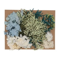 Prirodni sušeni cvjetni snopovi cvjetni gomili prekrasan diy caft ukras