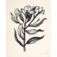 Miller, Sara Zieve Crni modernog uokvirenog muzeja Art Print pod nazivom - Cvjetnik s mastilom I vrhnje