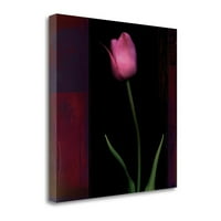 Tangletown Fine Art Red Tulip II od Rick Filera, Galerija Wrap platnena 20