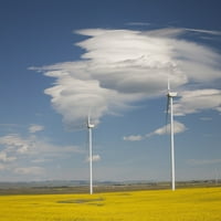 Dramatični oblaci s plavim nebom i vjetrenjačima u polju Cvjetni kanoli; Alberta, Kanada Poster Print