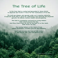 Drvo života Inspirationalni motivacijski papirni plakat