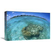 u. Reef Seascape, Palmyra Atoll NWR, američka linija Ostrva Art Print - Tui de Roy