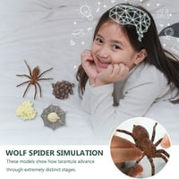 Postavlja leptire Ladybug Antler Bug i Spider Rast Modeli za dječje igračke