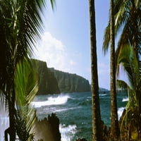 Palm na plaži u blizini Hane, Maui, Havaji, USA Poster Print