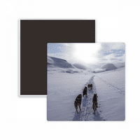 Pas životinjski snijeg Husky Slika Square Cracs Frižider Magnet Chellsake Memento