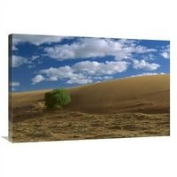 u. spiljife trava na pješčanoj duni, pustinju Strzelecki, Australija Art Print - Konrad wothe