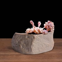 Keramički cvjetni postrojbeni kontejneri lagani čvrst kamen oblikovan utćen bonsai stil a i mali