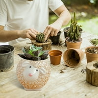 Gaiseeis Owl Pot keramičke sočne posude za postrojenje kaktusa sadnica Bonsai lonca set multicolor