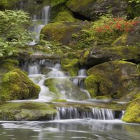 Mali slapovi uz mahovinu natkrivene stijene; Portland, Oregon, Sjedinjene Američke Države Poster Print