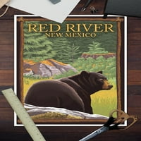 Crvena rijeka, Novi Meksiko, crni medvjed u šumi
