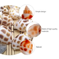Conch Shell Fish Rezervoar Decor Dekora za domaćinstvo Ukrasi
