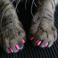 Stvarno mačke kućnih ljubimaca Kitten protiv ogrebotine za nokte za nokte za nokte za zaštitu poklopca