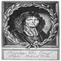 Regnier de Graaf n. Holandski lekar i anatomičar. Graviranje linije, 17. vek. Poster Print by