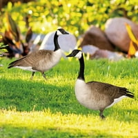 Duck Vrtni udio Ukrasni tipovi za ukrašavanje patke Ornament za patke za dvorište i vrt u vrt B