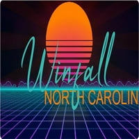Winpard North Carolina Vinil Decal Stiker Retro Neon Dizajn