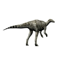 TheScelosaurus Dinosaur, bijeli pozadinski poster Ispis