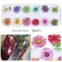 Follure Pro Beauty Tools Pribor za nokte i ljetni modni modni suhi cvijet nakita Japansko žensko modno naigravanje noktiju cvijeće