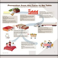 Poster Galerija 24 X36 , prevencija salmonele sa farme do tablice Infographic CDC