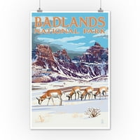 Nacionalni park Badlands, Južna Dakota, Antelop u zimi