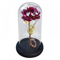 Summirk Arktiol Gold Foil Rose cvijet i LED svjetlo u staklenoj kupoli na drvenoj bazi Najbolji poklon