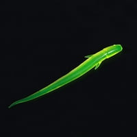 3G ribolovna masiva pokazivala je rep sightlined svijetlo boje višebojna riba atrakcija univerzalno svjetlosni lohni crv umjetni mekani ribolov mamac