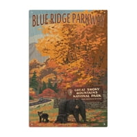 Birch Wood, Blue Ridge Parkway, Sjajne dimne planine Park ulaz i medvjed porodice, drveni znak ili razglednice,