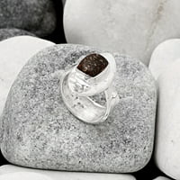 Desiregem Dinosaur Bone Sterling srebrna za odrasle žene prsten s. Nakit SDR114966
