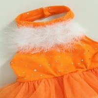 Qinghua Toddler Baby Girls A-line haljina haljina bez rukava haljina bez rukava Shiny Tulle Tutu haljina