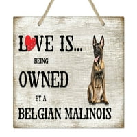 Ljubav je u vlasništvu belgijskog znaka pasmine malinoisa pasmine