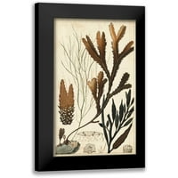 Turpin crna modernog uokvirenog muzeja Art Print pod nazivom - Turpin Seaweed I