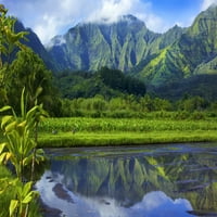 Ogledala slika zelene boje, lišće pokrivene planine i polja Taro usjeva; Hanalei, Kauai, Havaji, Sjedinjene