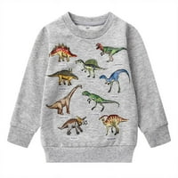 Dječak jesen veličine odjeće zimski pamuk dinosaur dukseri