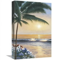 Globalna galerija GCS-128573-1218- in. Palm Beach Sunrise Art Print - Diane Romanello