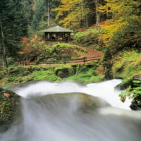Vodopad triberenja u jesen, Crna šuma, Baden-Wurttemberg, Njemačka Poster Print