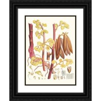 WALTER FITCH HOOD CRNA ORNATE WOOD Framed Double Matted Museum Art Print Naslijed - Cyrtosia Lindleyana,