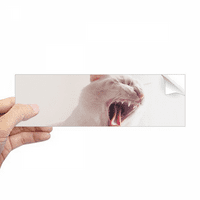 Životinjska bijela žestoka mačka fotografija Pravokutnik naljepnica za notebook naljepnica