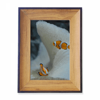 Ocean Clownfish Fish Science Nature Slika fotografija okvira Izložba Izložba Art Desktop Slikarstvo