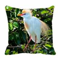 Muška stočna egret u drvetu u drvetu na Floridi močvarnog kreveta dekor jastuka