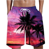 Muška kupaca za plivanje kokosova stablo Ispis Havajske hlače Brzo suho ljeto kupaće odijelo za plaću