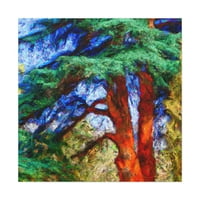 Cedar Tree Fauvism - Platno