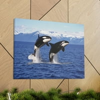 Smiješan kitov blesav kitov scenski par Zidna umjetnost spremna za objesiti neumljeno