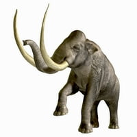 Kolumbijski mamut jedan je od izumrlih megafaunskih zvijeri iz Pleistocenskog perioda povijesti Zemlje,