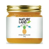 Natureland Organics Apple Jam, Mango Jam, MI voće Jam, Pine Apple Jam