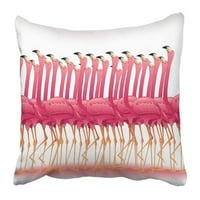 Životinje Pink Flamingos Grupa Vodeni kljun Prekrasne ljepote ptice u boji plesni jastučnica