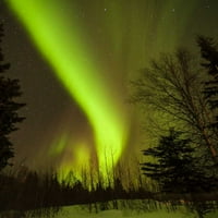 Aljaska, Chena Hot Springs Aurora Borealis by Cathy - Gordon Illg