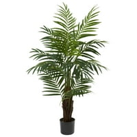 Skoro prirodna 4 Areca Palm Tree