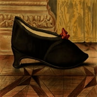 Ženske stare-modne cipele za cipele Print Nepoznato