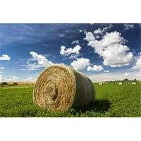 Zatvori velikog okruglog sijena bala u polju Alfalfa sa oblacima i plavim nebom - Acme Alberta Kanada